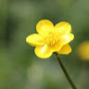 Meet your Posher, Bobbie-ann